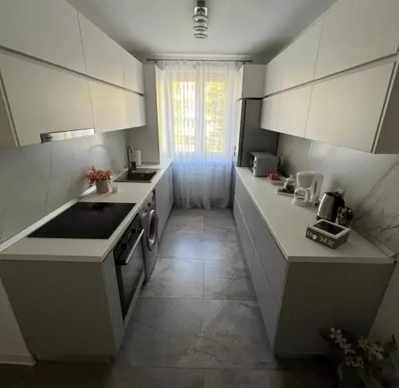 Luxury Apartment