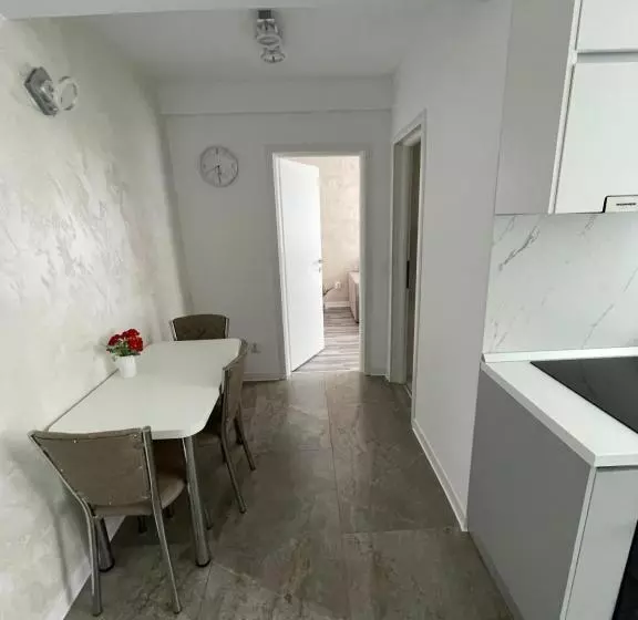 Luxury Apartment