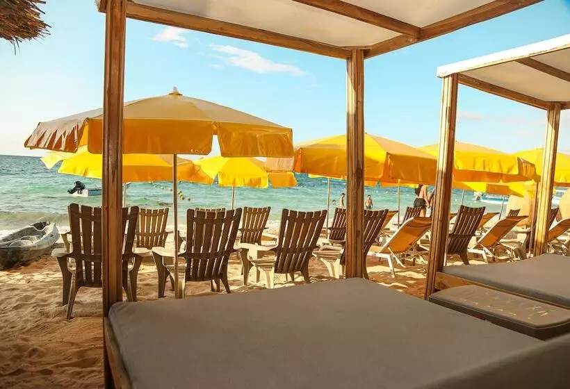 هتل Soy Local Barú