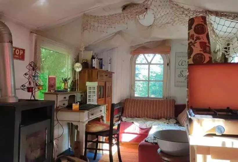 Trailer   Dschungel Lodge