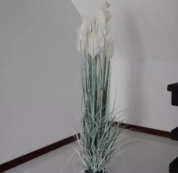 Hotelli Andaman Resort