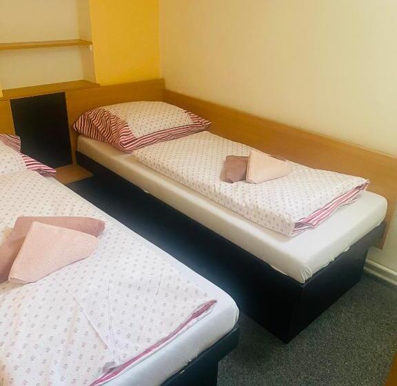 Pensionat Apartmánový Dům Velké Losiny