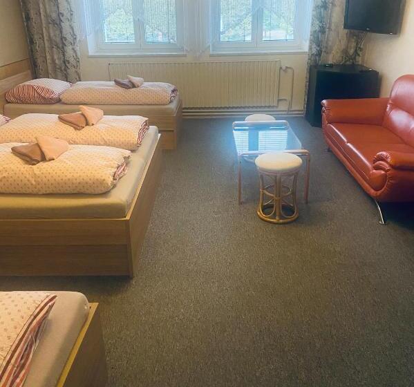 Pensionat Apartmánový Dům Velké Losiny