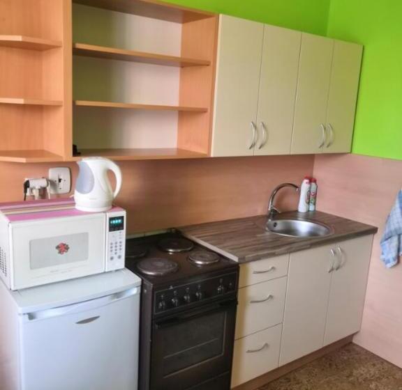 Pensionat Apartmánový Dům Velké Losiny