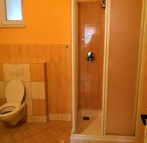 ペンション Apartmánový Dům Velké Losiny