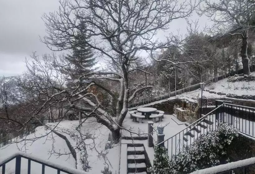 Estrella De Nieve