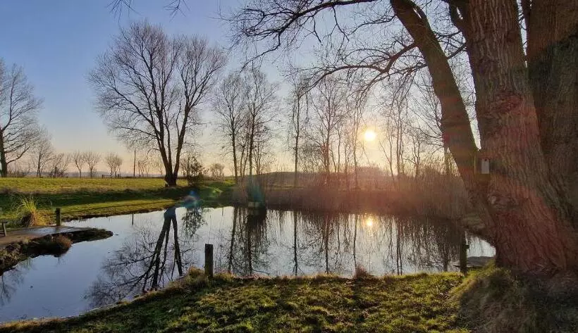 민박 Pension Altes Zollhaus