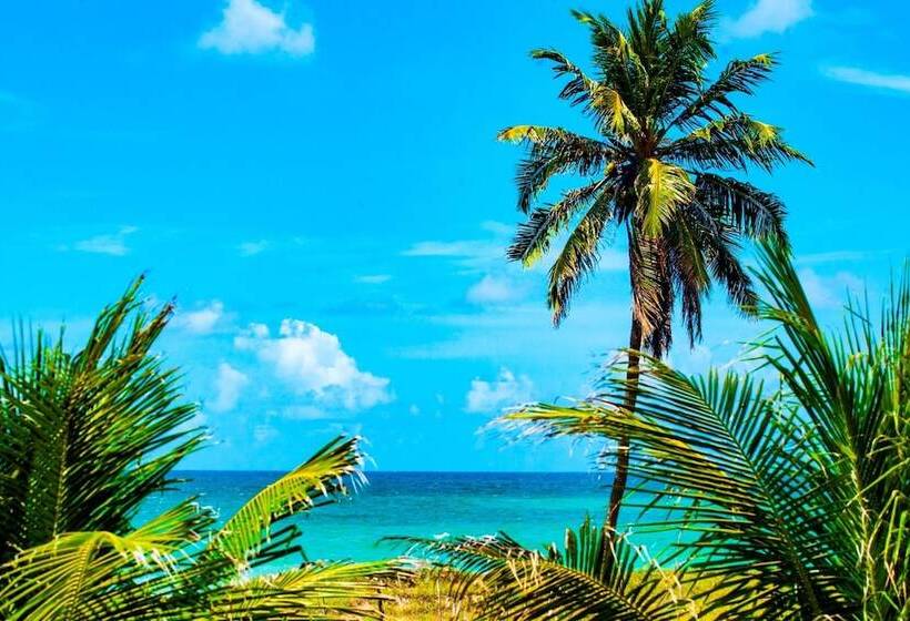 Brisamar Hotel Pousada