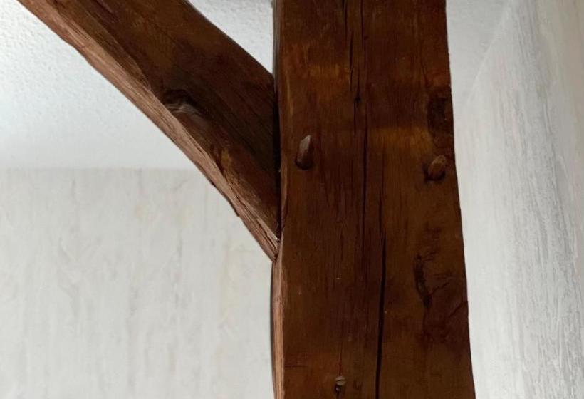 酒店 Gasthof Zum Nonnenstein