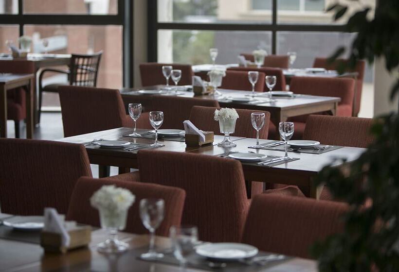 בית מלון כפרי Premium Tower Suites San Luis