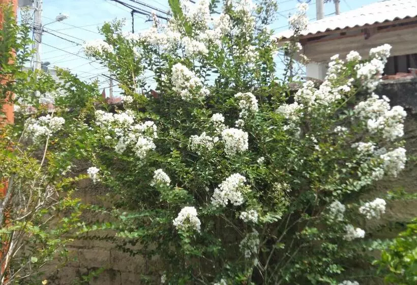 Retkeilymaja Posada Nativa Shingle Hill