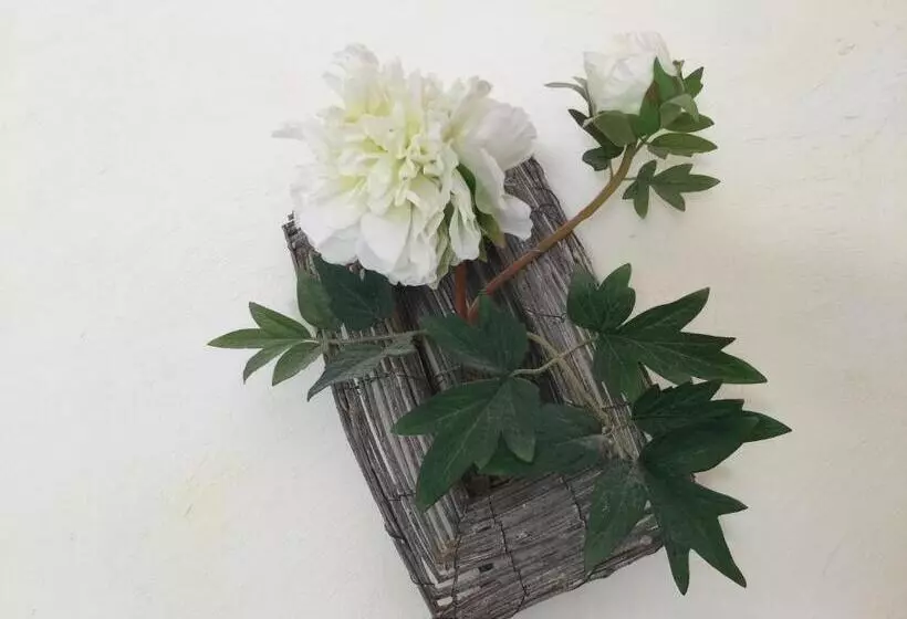 Aamiaismajoitus (B&B) Le Clos Des Cigales