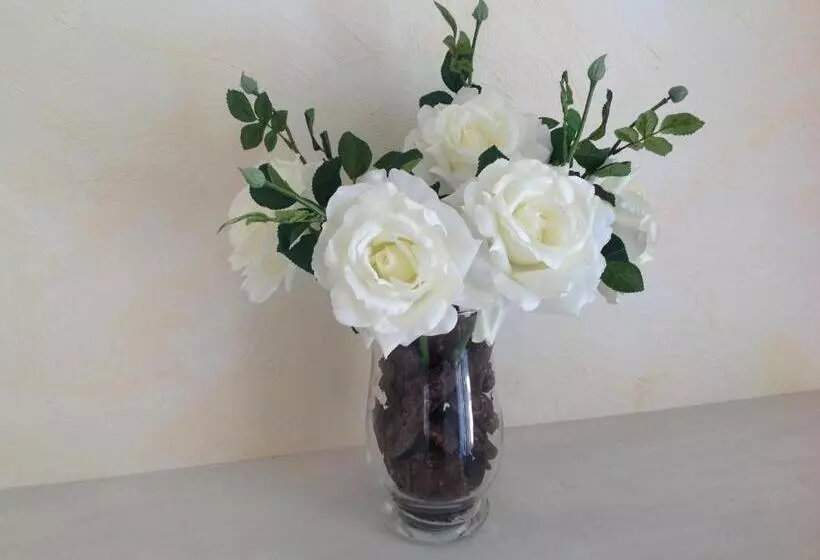 Aamiaismajoitus (B&B) Le Clos Des Cigales