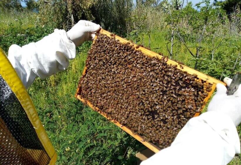 هتل Antica Tenuta