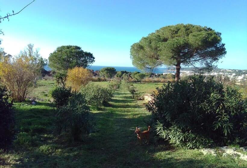 هتل Antica Tenuta