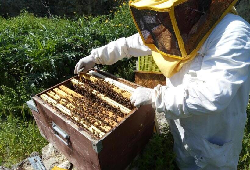 هتل Antica Tenuta