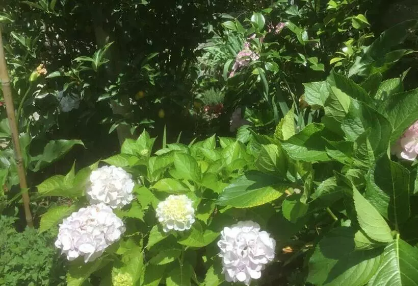 Majatalo Camere Giuliano Basso