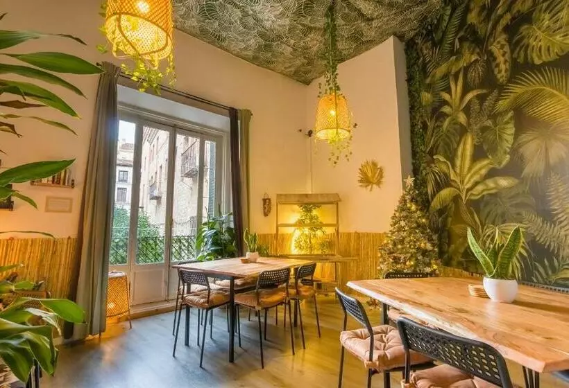 هاستل Social   Coliving & Coworking   Madrid