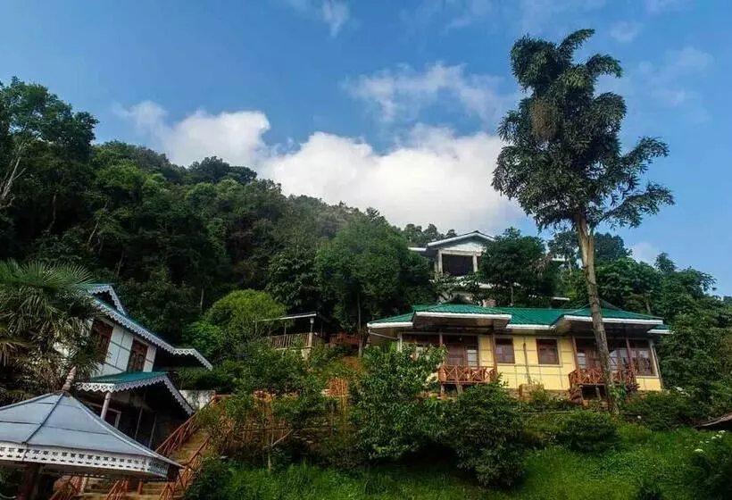 Bed and Breakfast Odyssey Stays Rumtek