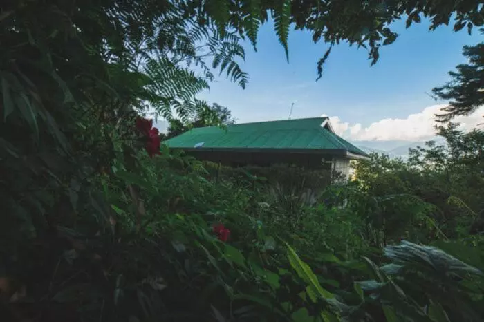 Bed and Breakfast Odyssey Stays Rumtek