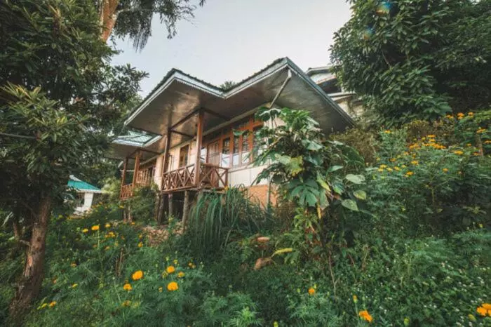 Bed and Breakfast Odyssey Stays Rumtek