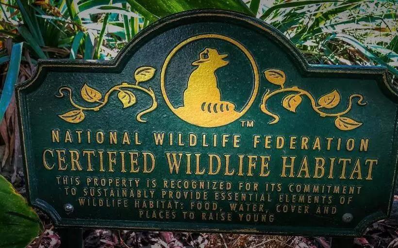 Birdwatch Cottage With River Beach Pass