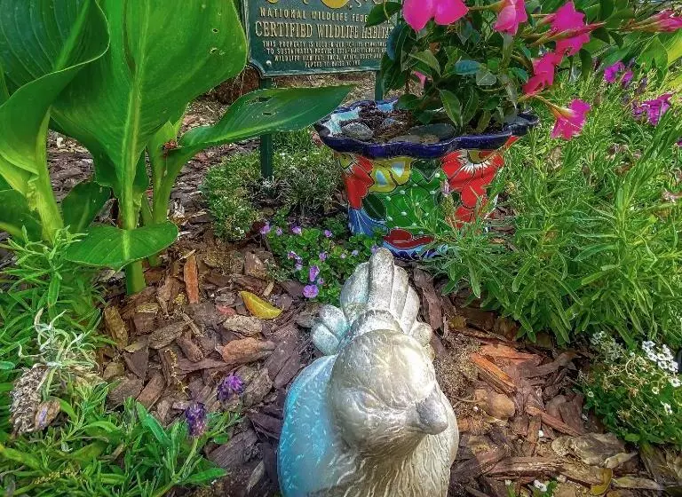 Birdwatch Cottage With River Beach Pass