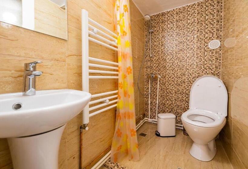 Cabana Bucuria Munților