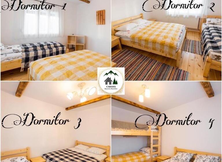 Cabana Bucuria Munților