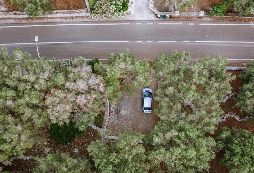 Salento Incantevole Alloggio Fronte Mare