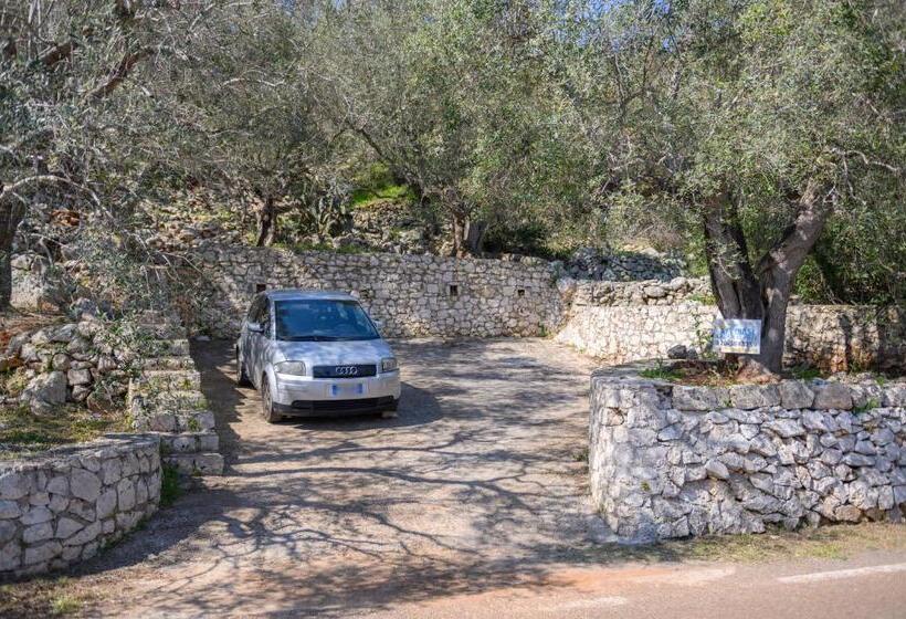 Salento Incantevole Alloggio Fronte Mare