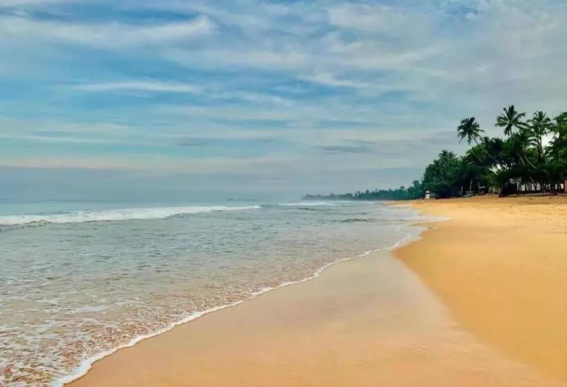 پانسیون Morava Beach Court