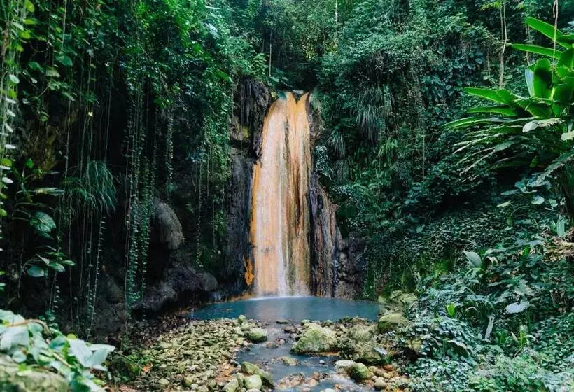 استراحتگاه Zoetry Marigot Bay   All Inclusive