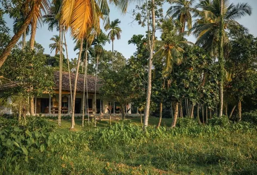 Rice House