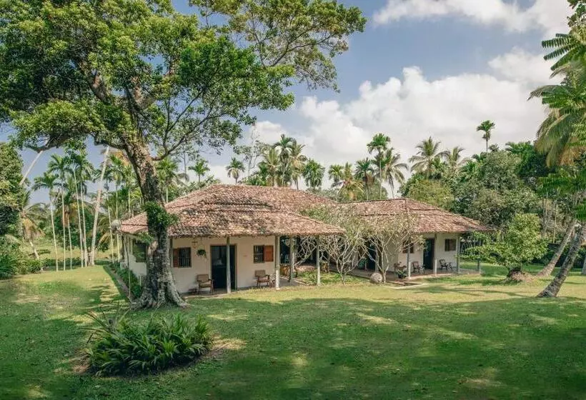 Rice House