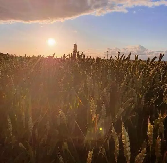 Villa Vemmentorp   Körsbärsblomsvillan 6 Min Från Havet