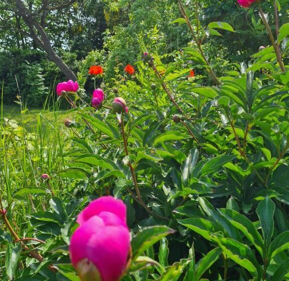 Villa Vemmentorp   Körsbärsblomsvillan 6 Min Från Havet