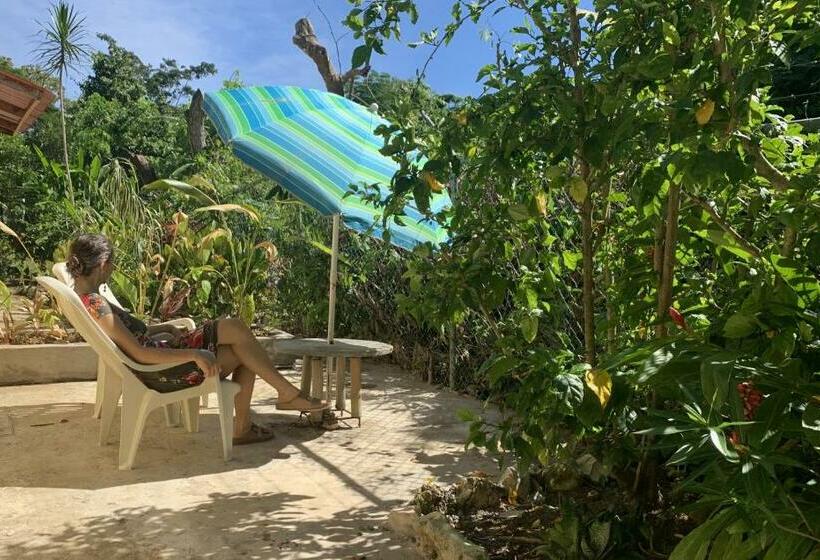 تختخواب و صبحانه Can Jam Retreat