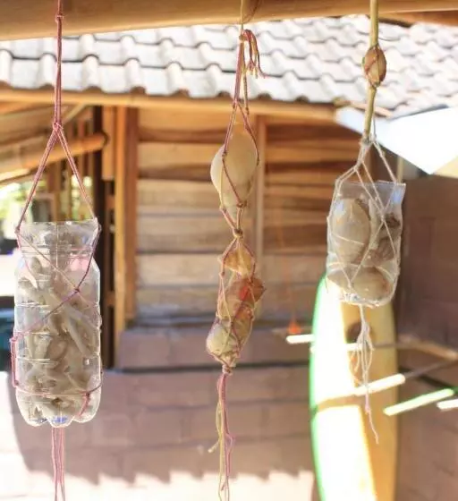 Majatalo Harry S Ocean House Watukarung Homestay