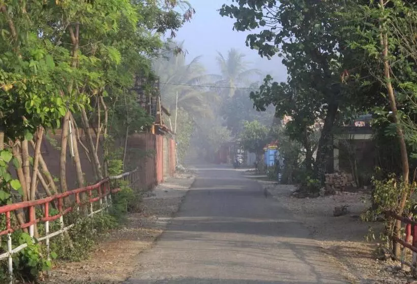 Majatalo Harry S Ocean House Watukarung Homestay