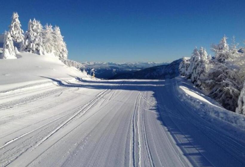 Residence Vacanze Apartments