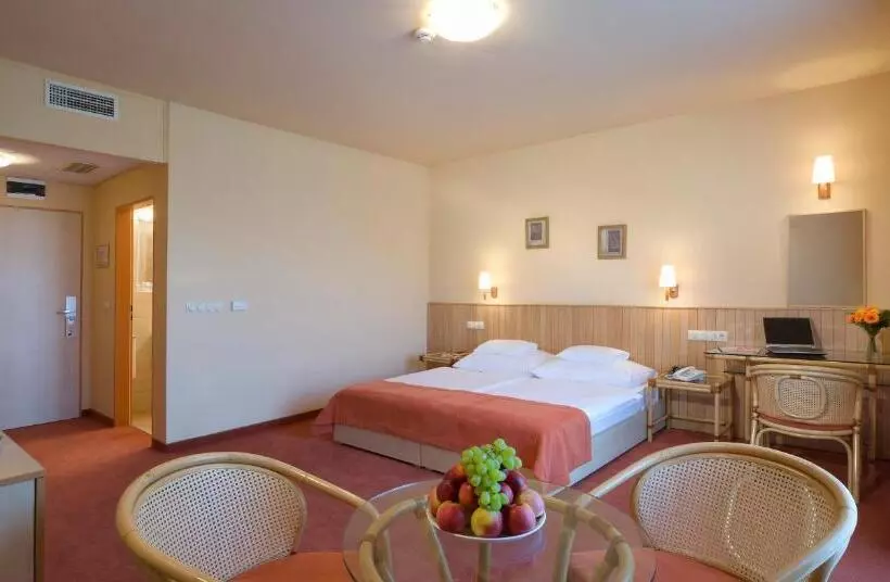 Termálhotel Martfű
