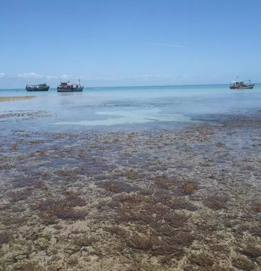 ユースホステル Pousada Corais De Abrolhos