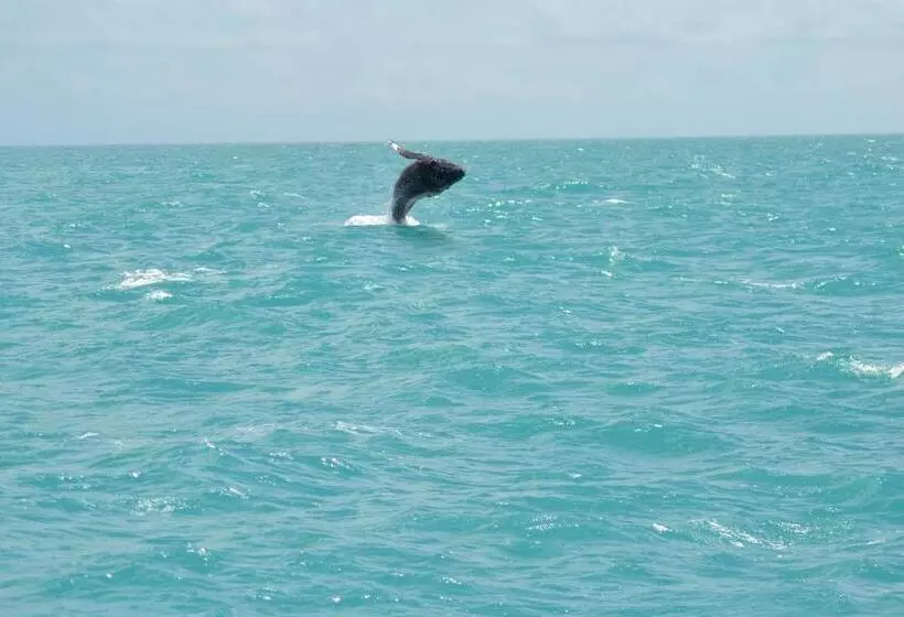 ユースホステル Pousada Corais De Abrolhos