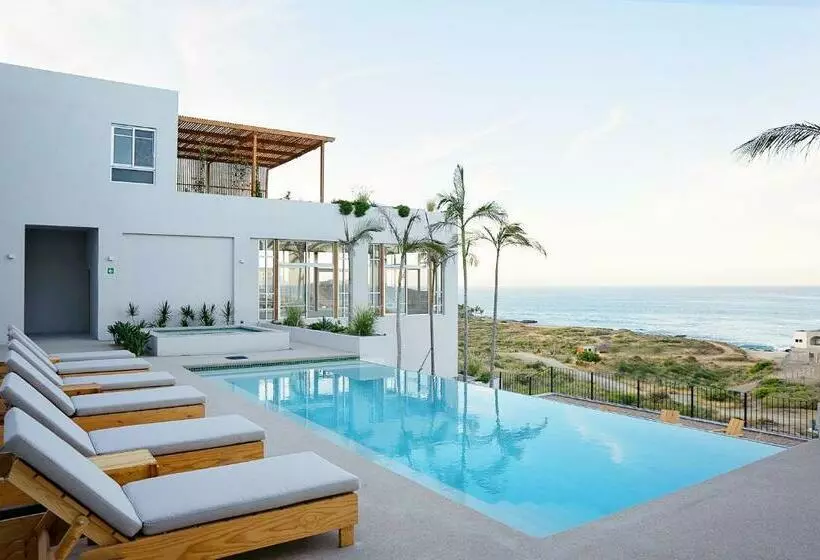 Pacific Suite