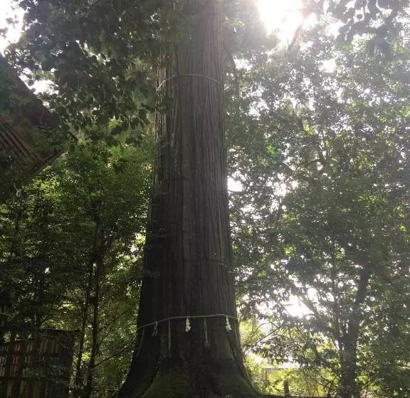 Majatalo すさのわ