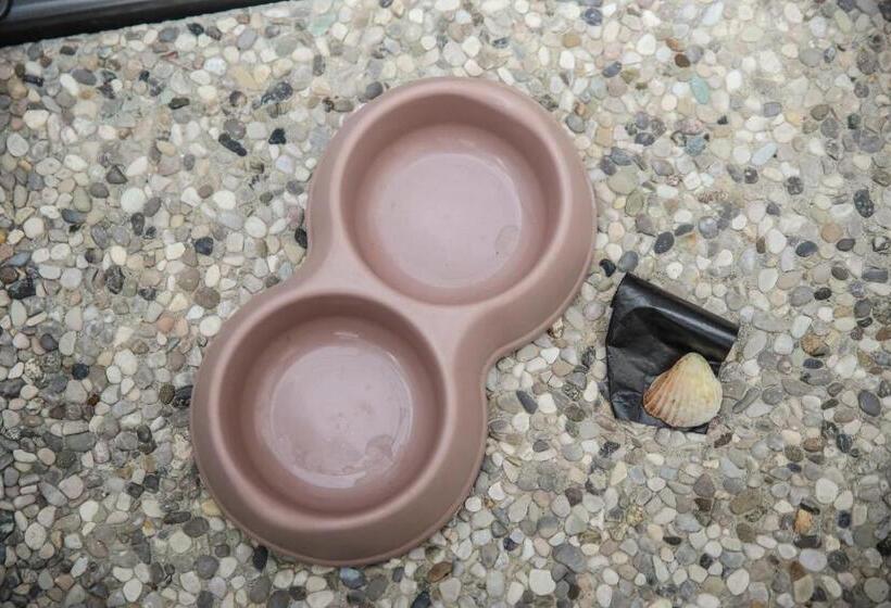 Casa Vacanze Salento Vicosoluna