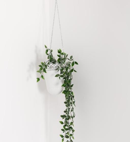 Central Quiet Cottage. Walk To Shops, Bars & Beach