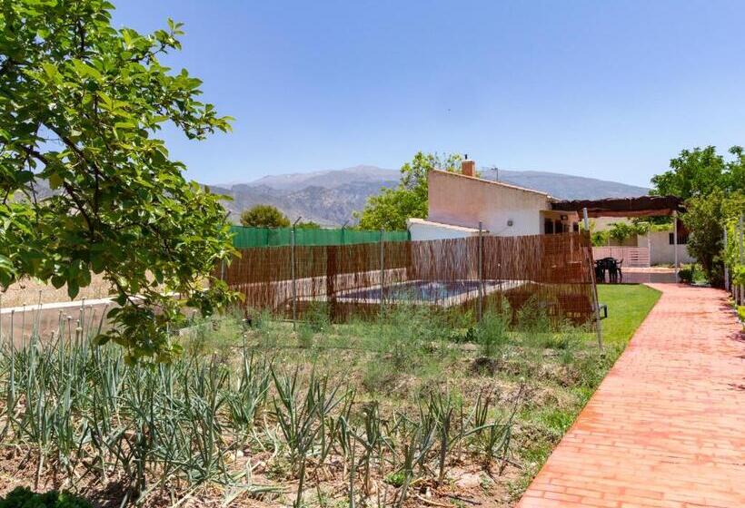 Cortijo La Flor Del Valle