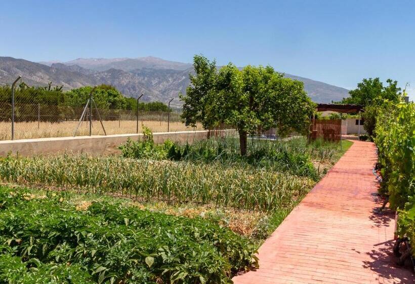 Cortijo La Flor Del Valle